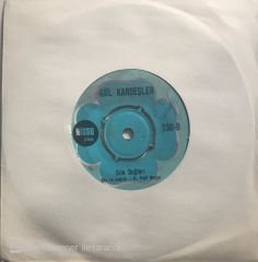 Gül Kardeşler Sıla Dağları 45lik