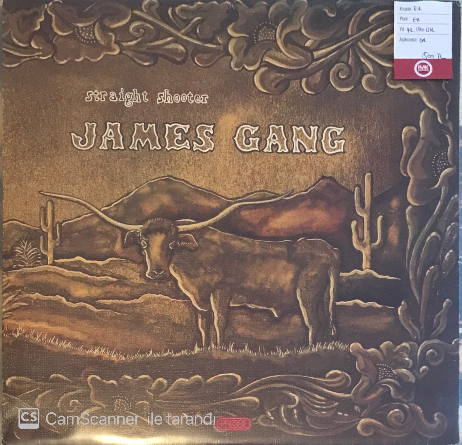 James Gang - Straight Shooter LP
