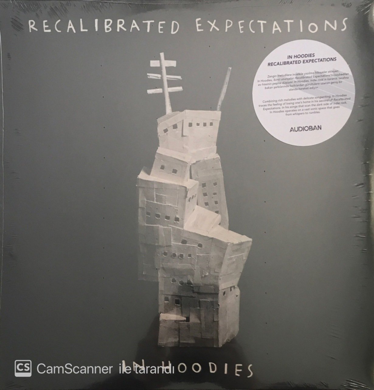 In Hoodies Recalibrated Expectations LP