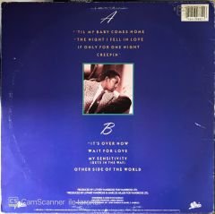 Luther Vandross - The Night I Fell In Love LP