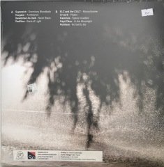 Dark Pulse Audioban Selections : New Era Of Turkish Dark Scene LP