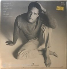 Al Jerreau This Time LP