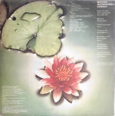 Mahavishnu Orchestra - Between Nothingness & Eternity Live - LP