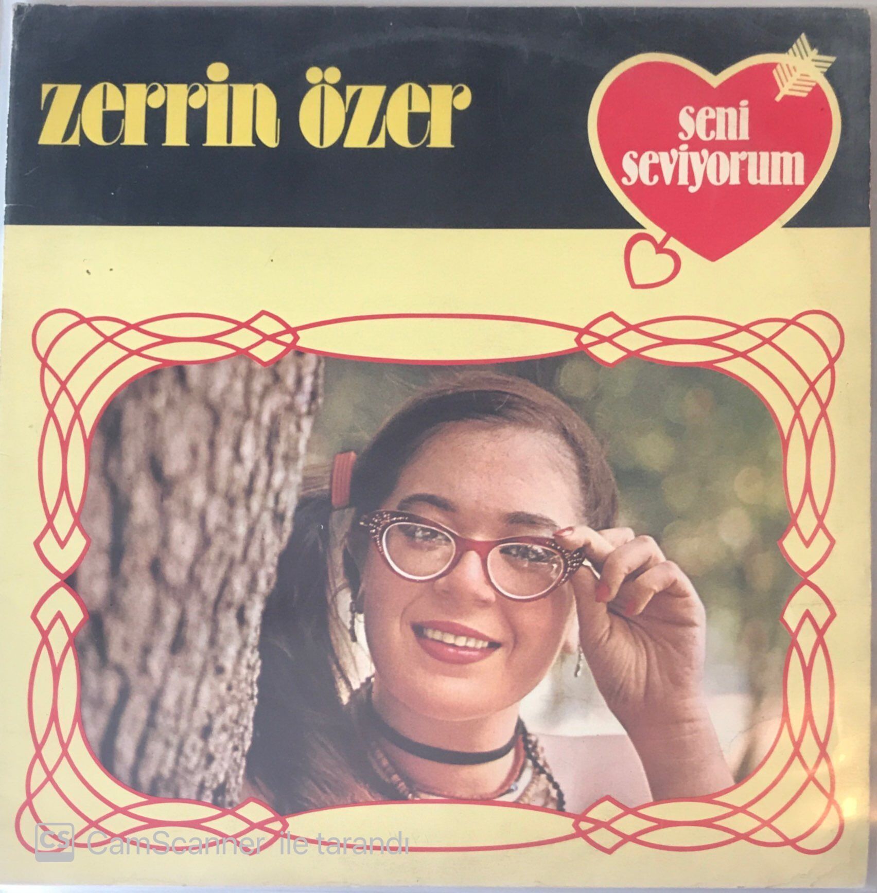 Zerrin Özer - Seni Seviyorum LP