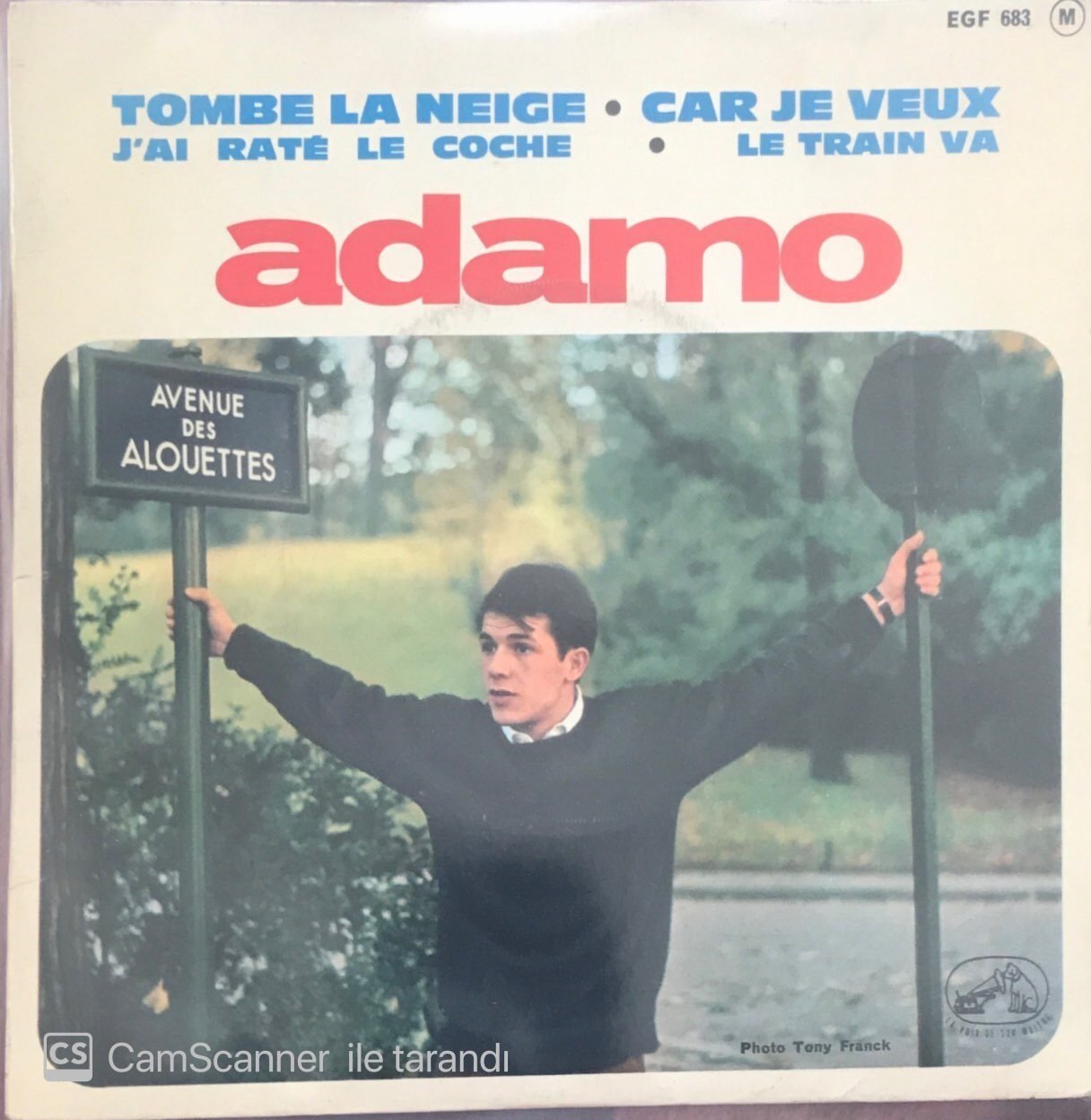 Adamo Tombe La Neige 45lik