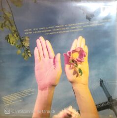 Cyndi Lauper / A Night To Remember LP