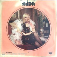 Ajda Pekkan - Hoş Gör Sen ( Çanta Kulplu Sağlam ) LP