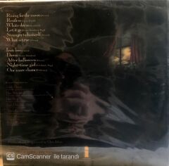 Fairport Convention Rising For The Moon LP