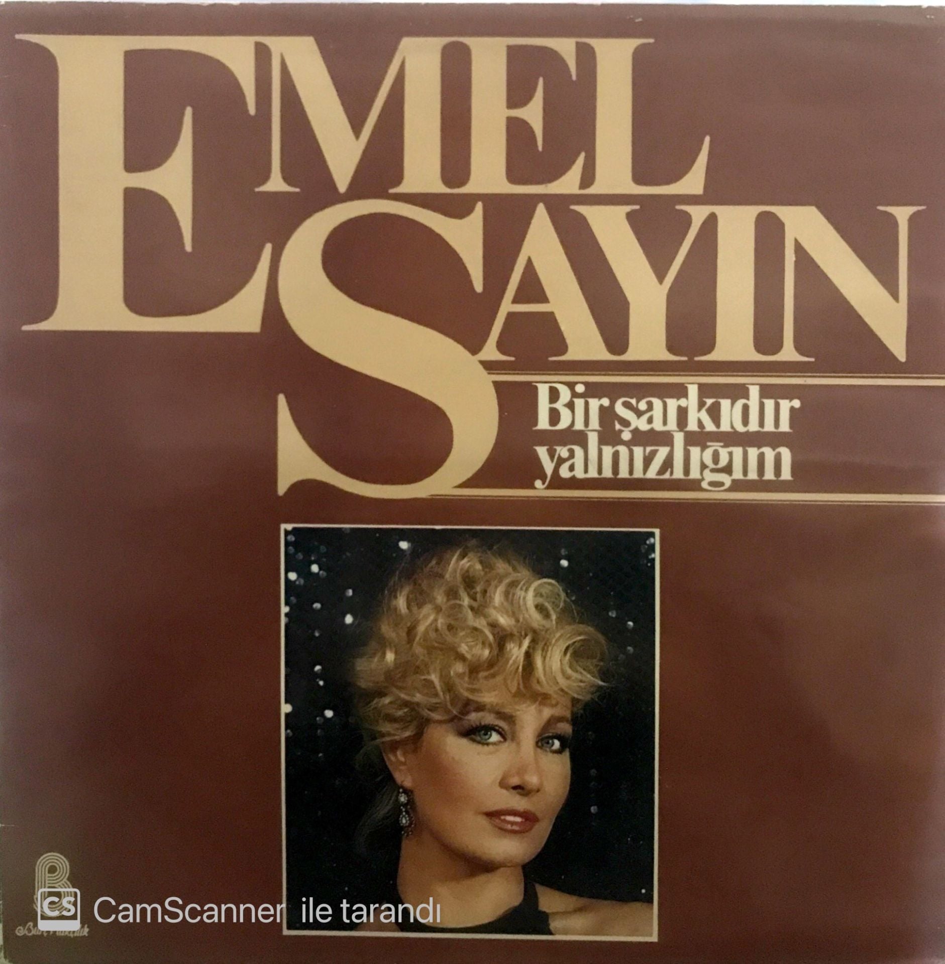 Emel Sayın - Bir şarkıdır yalnızlığım LP
