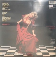 Stevie Nicks The Other Side Of The Mirror LP