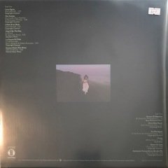 Linda Ronstadt Hasten Down The Wind LP