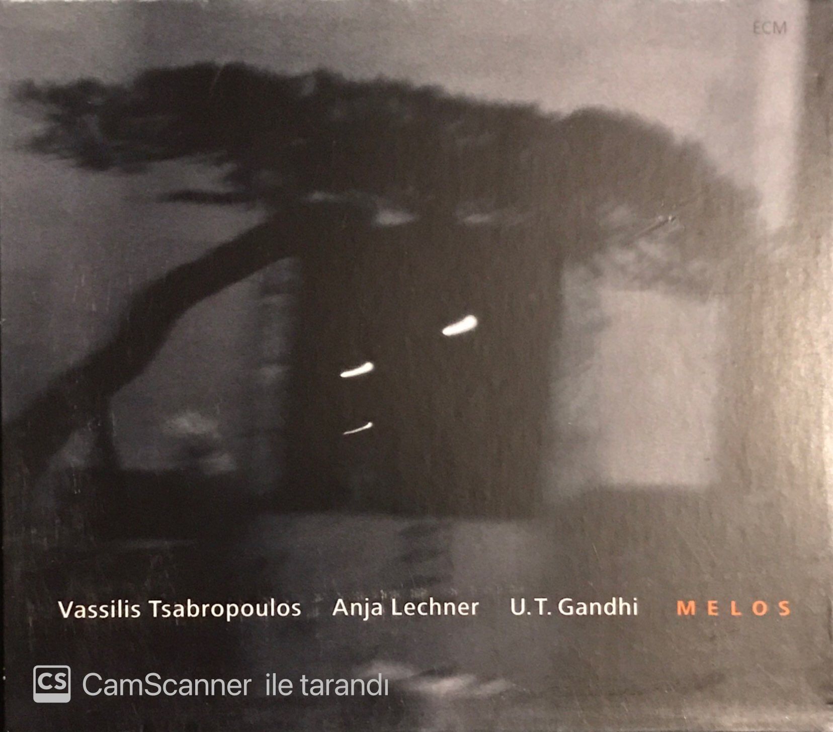 Vassilis Tsabropoulos  - Anja Lechner - U.T  Gandhi  - Melos CD