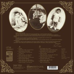 Ferdi Özbeğen Seviyorum Delicesine LP