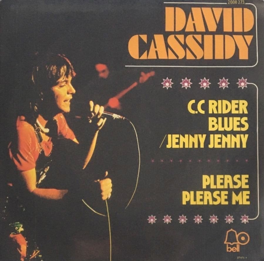 David Cassidy Please Please Me 45 lik