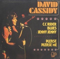 David Cassidy Please Please Me 45 lik