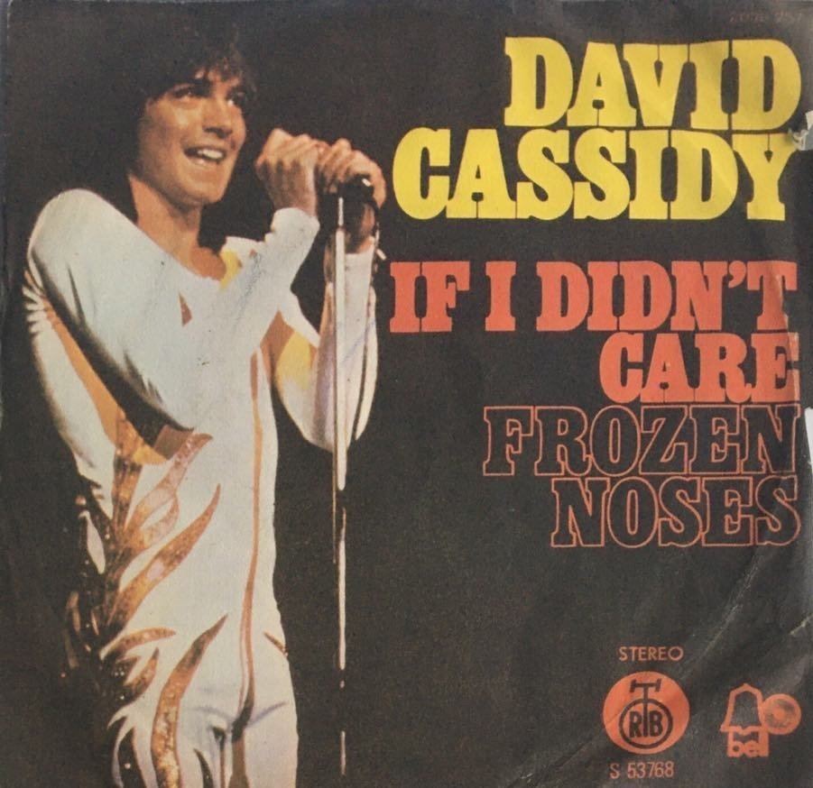 David Cassidy If I Didn't Care 45 lik
