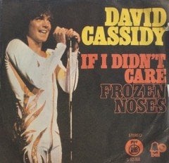 David Cassidy If I Didn't Care 45 lik