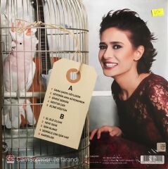 Yıldız Tilbe - Şivesi Sensin Aşkın - LP