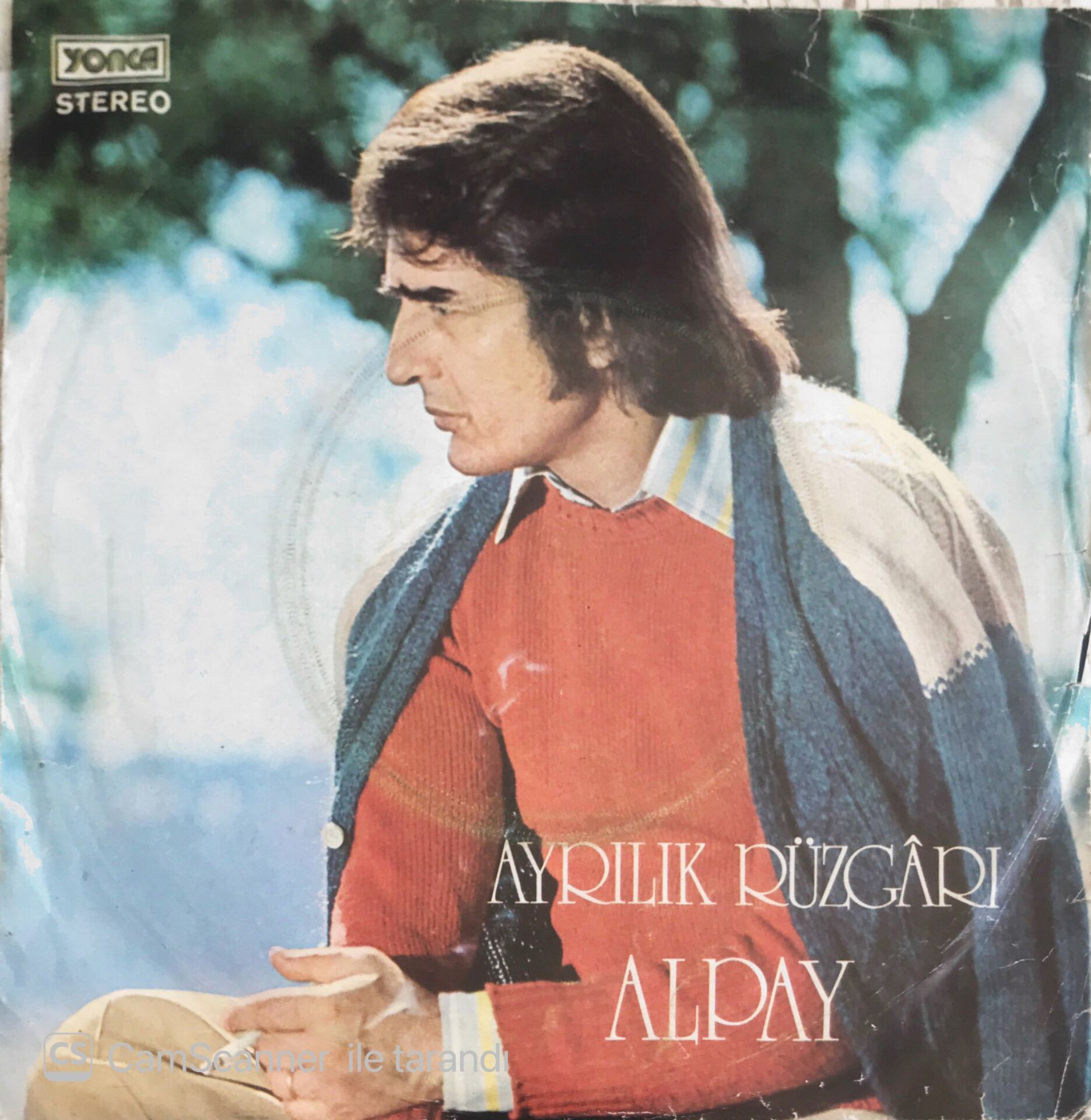 Alpay - Ayrılık Rüzgarı/Mecnun Derlerdi - 45'lik
