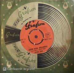 Aynur Akın - Aşkım Senin Gözlerinde 45lik