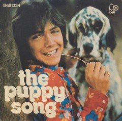 David Cassidy The Puppy Song 45 lik