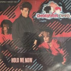 Thompson Twins Hold Me Now 45lik