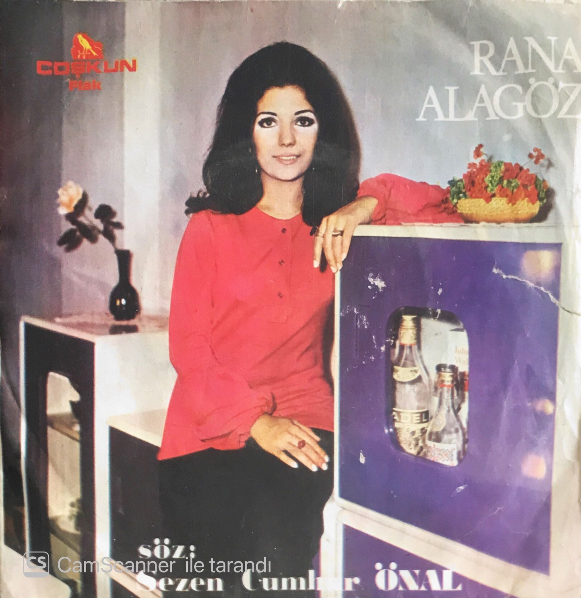 Rana Alagöz - Sevgili'ye/Her Şey Bitmiştir Artık - 45'lik