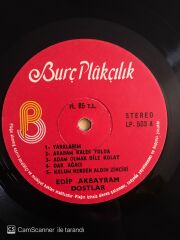 Edip Akbayram Dostlar - Nedir Ne Değildir - LP