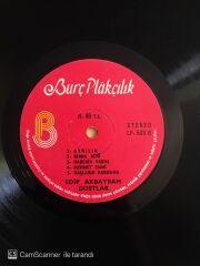 Edip Akbayram Dostlar - Nedir Ne Değildir - LP
