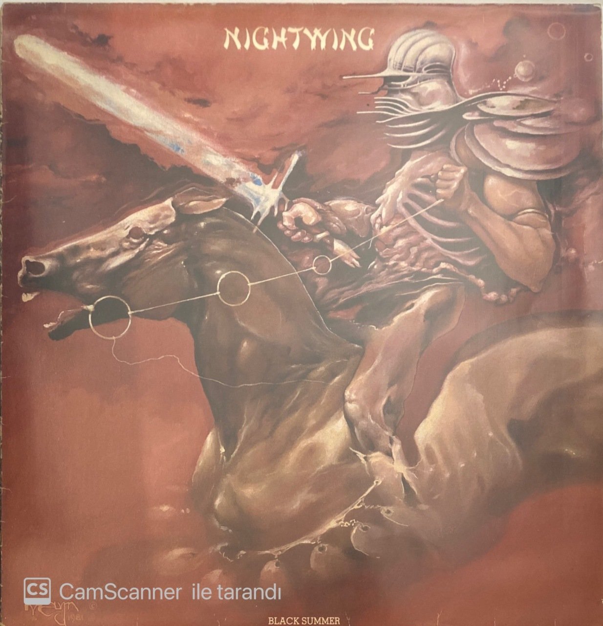 Nightwing Black Summer LP
