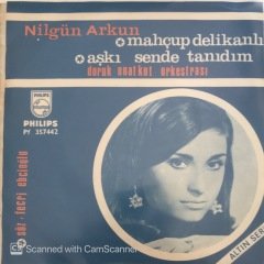 Nilgün Arkun Mahçup Delikanlı 45lik
