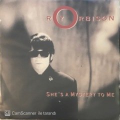 Roy Orbison She's A Mystery To Me 45lik
