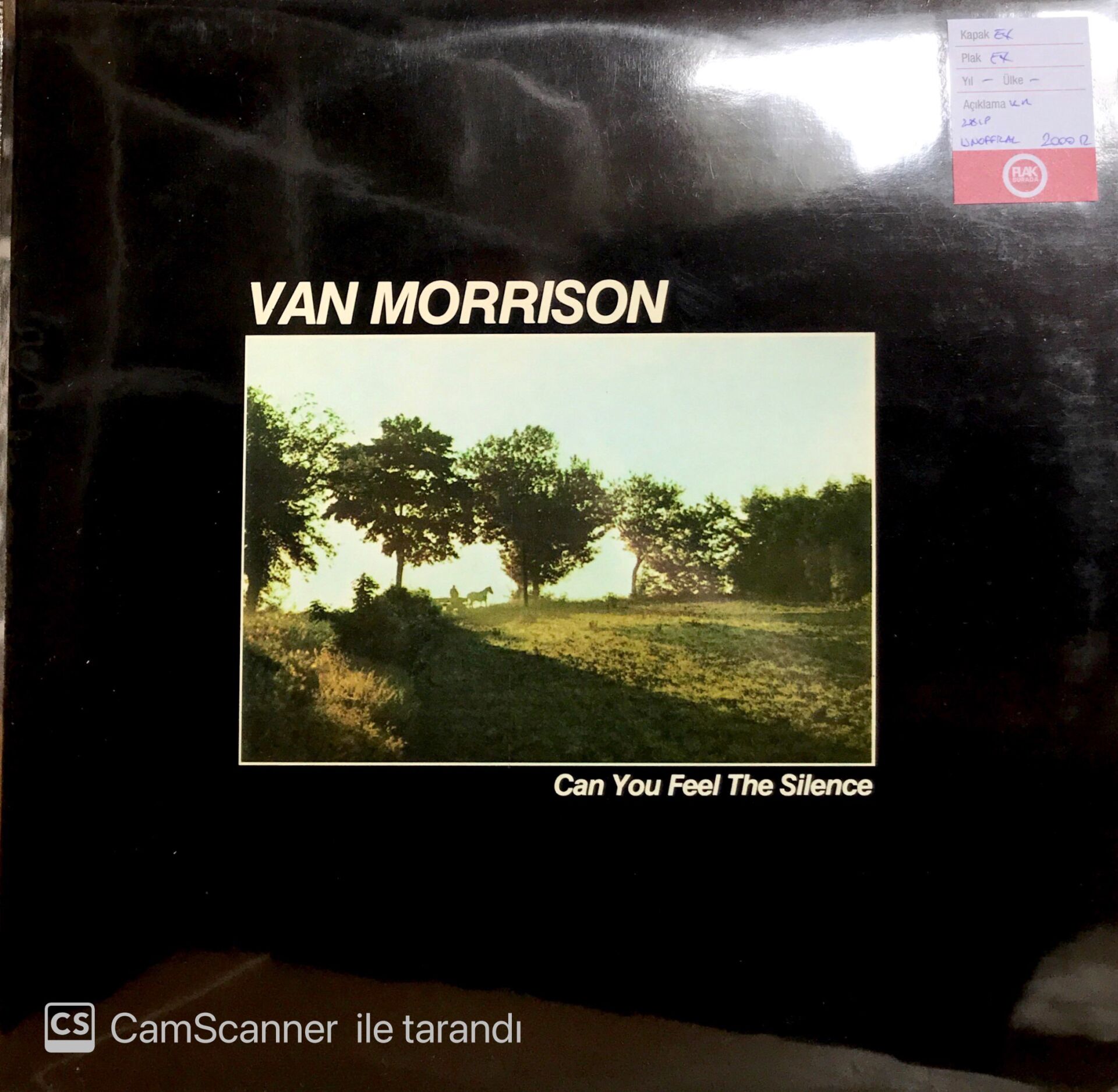 Van Morrison / Can You Feel The Silence Double LP Unoffical