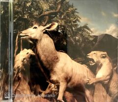 Interpol / Our Love To Admire CD