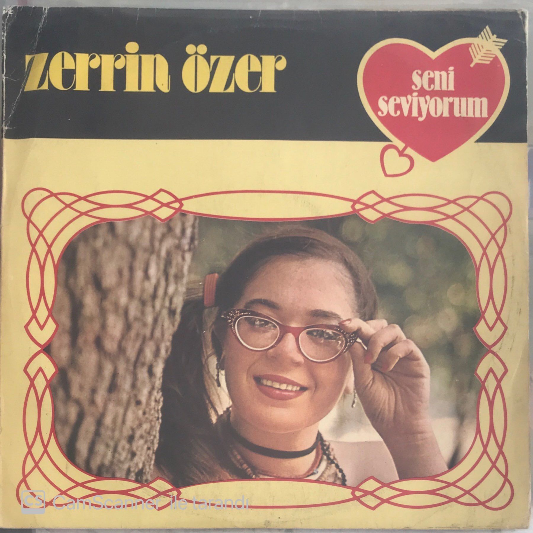 Zerrin Özer - Seni Seviyorum LP
