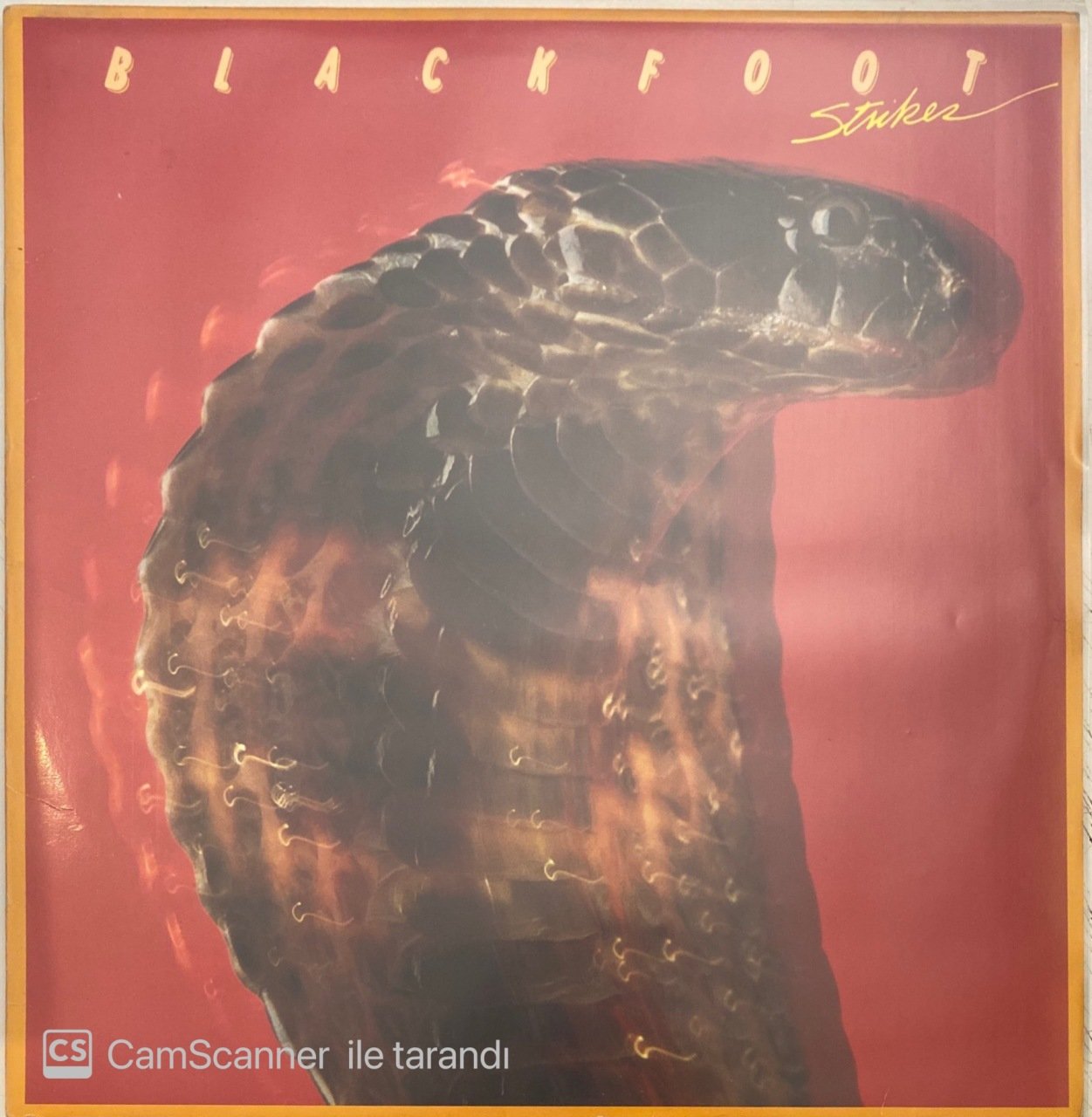 Blackfoot Strikes LP