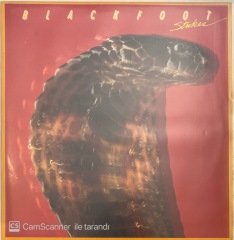 Blackfoot Strikes LP