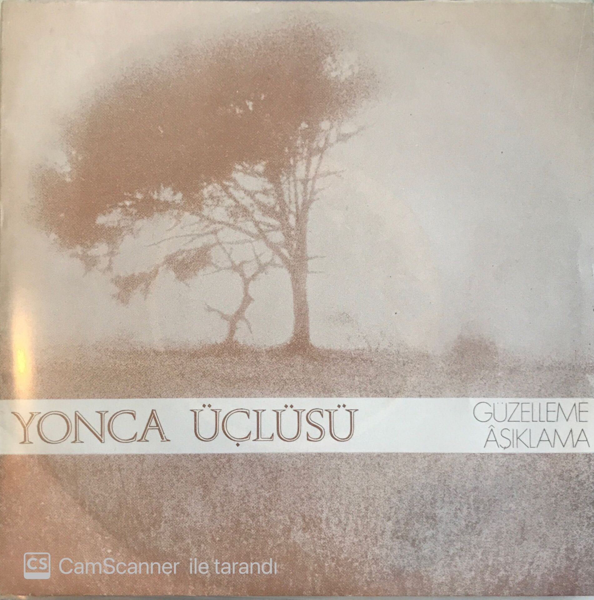 Yonca Üçlüsü - Güzelleme 45lik