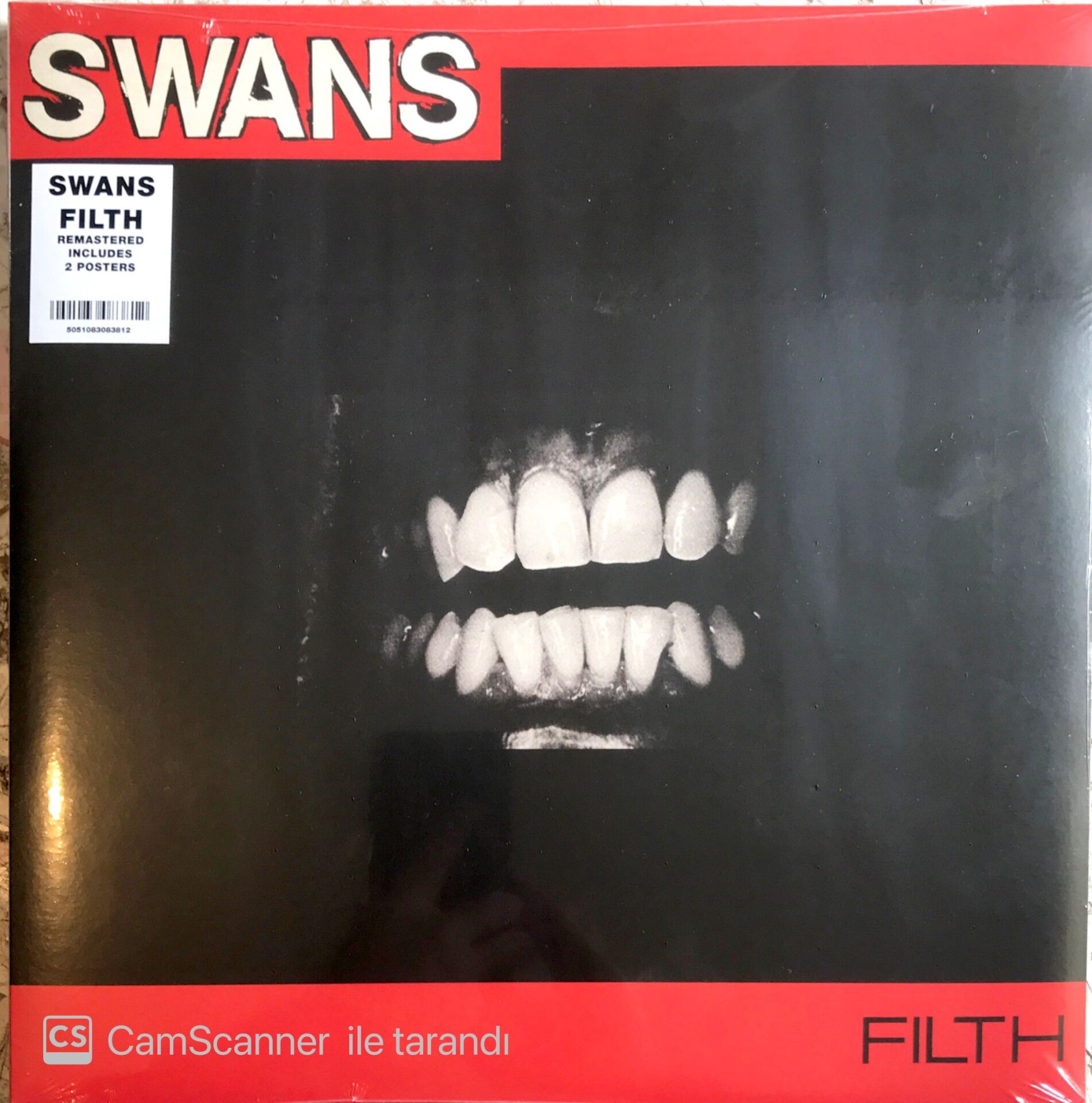 Swans Filth LP