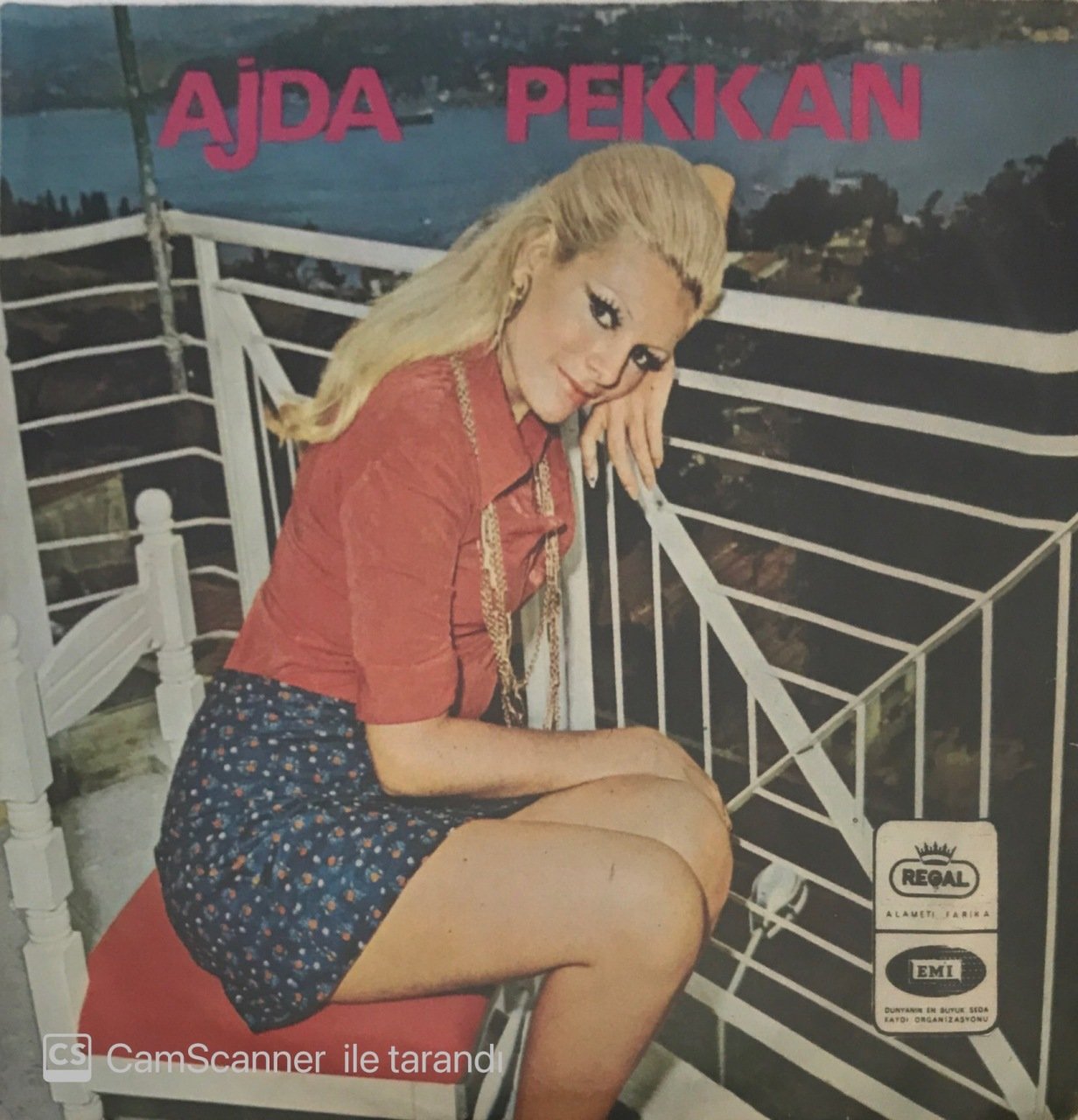 Ajda Pekkan Ay Doğarken 45lik