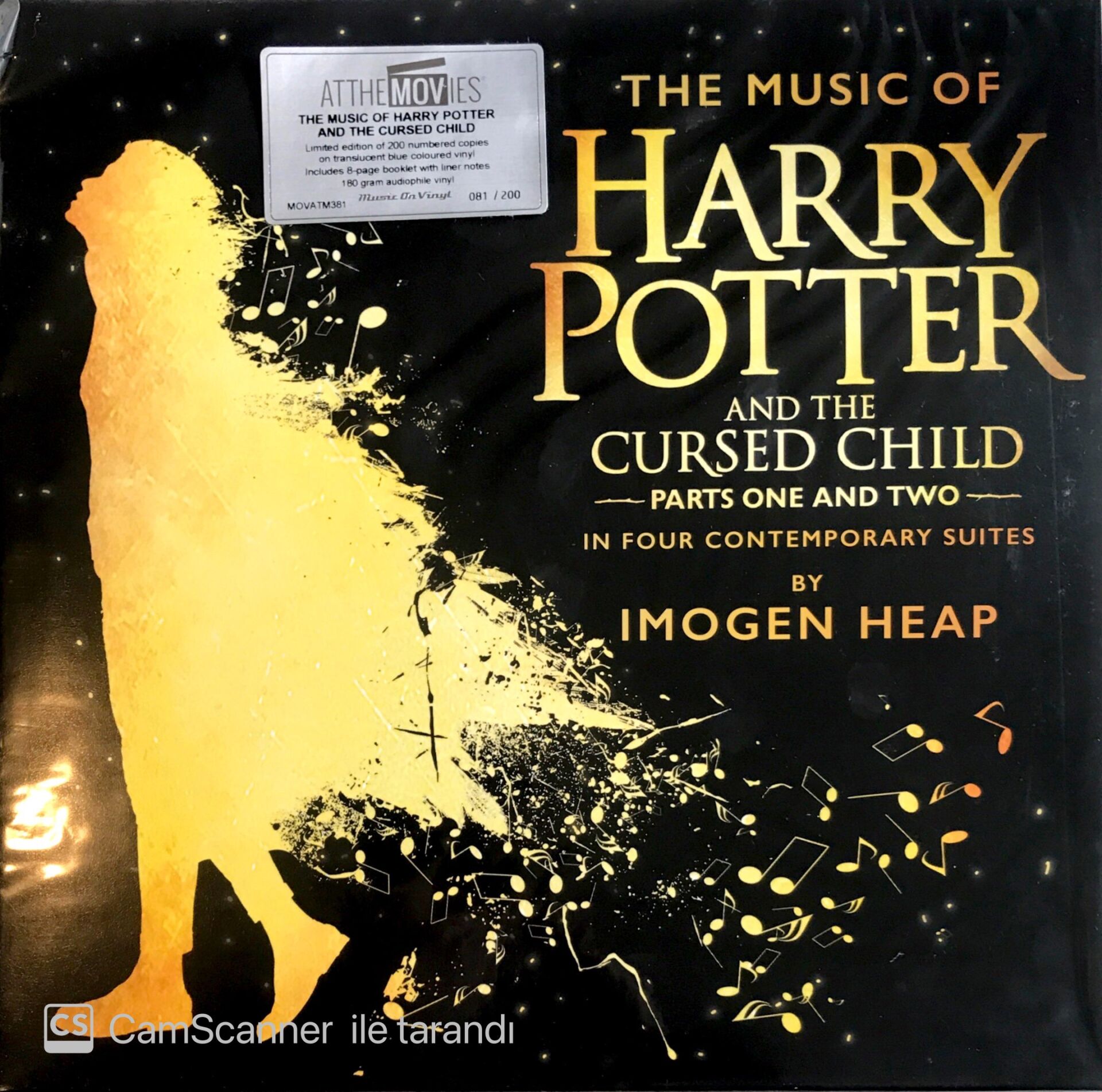 The Music of Harry Potter (200 Adet Limitli Numaralı Baskı, 2 LP) LP