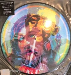Manic Street Preachers - The Holy Bible 20 (Picture Disc) LP