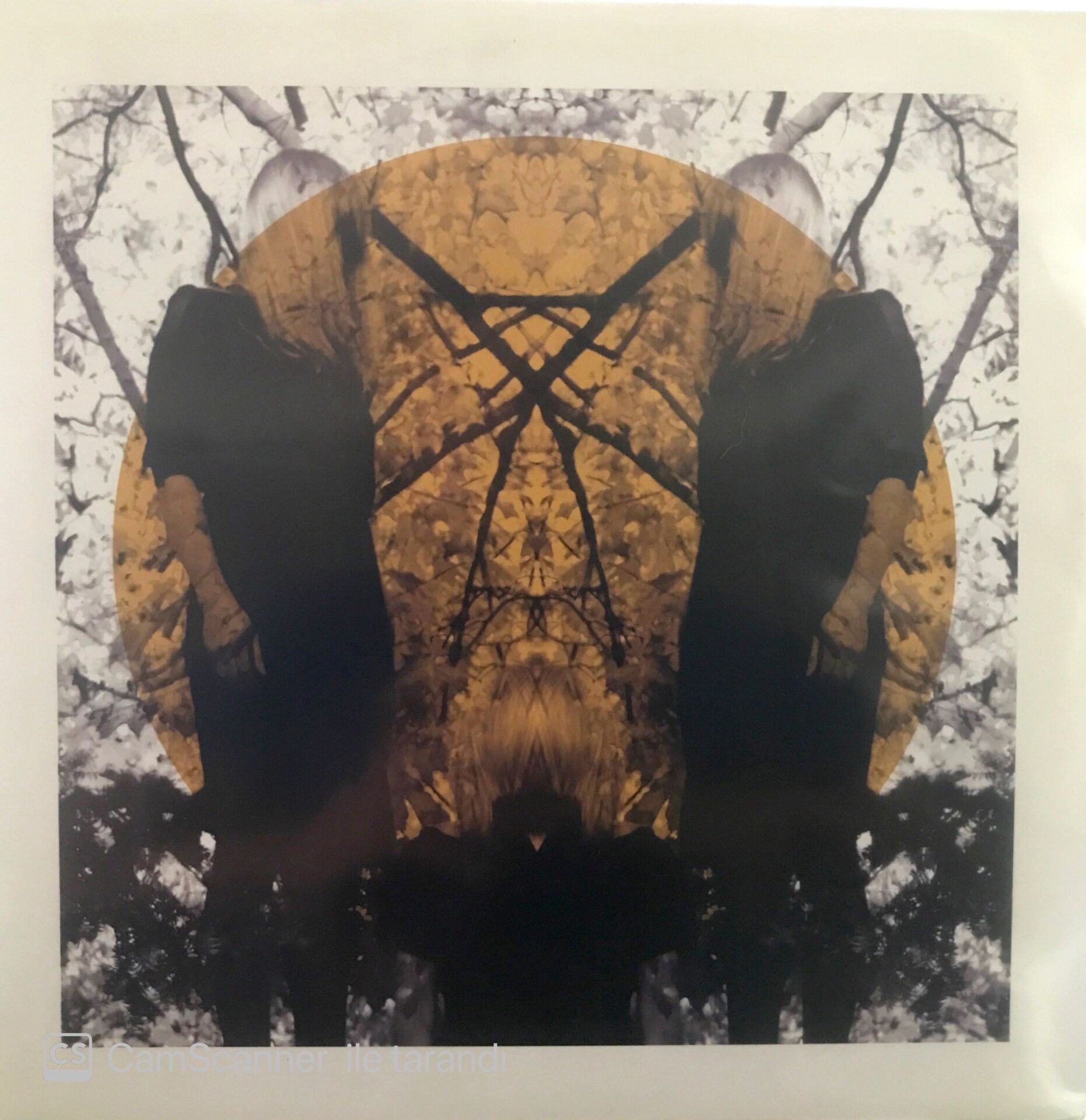 Austra - Feel it Break (Double LP) LP