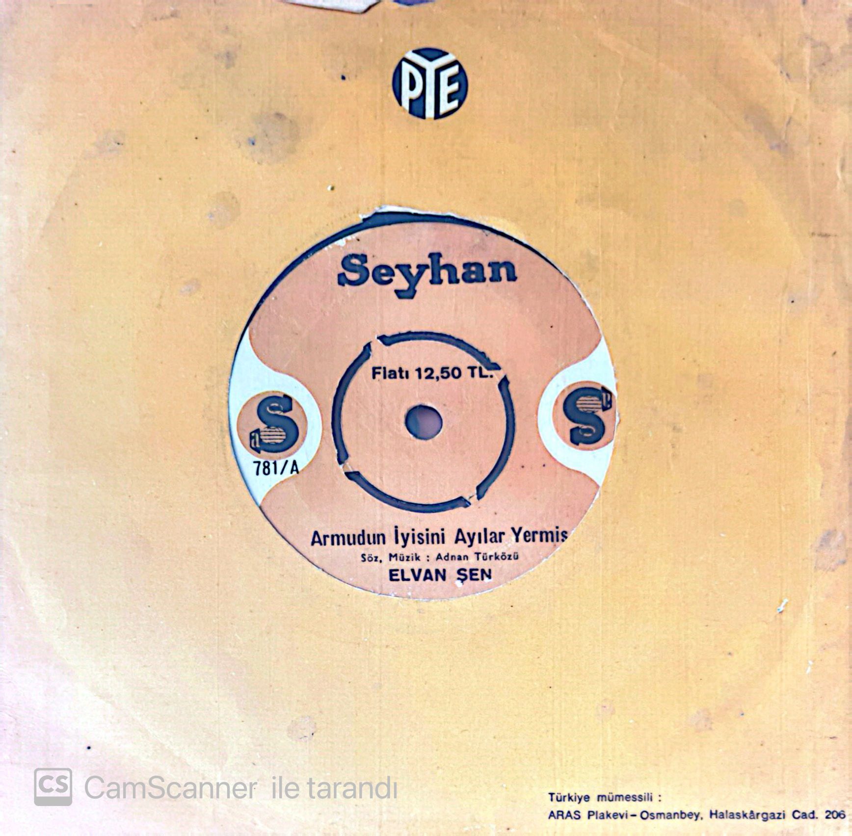 Elvan Şen - Armudun İyisini Ayılar Yermiş 45lik