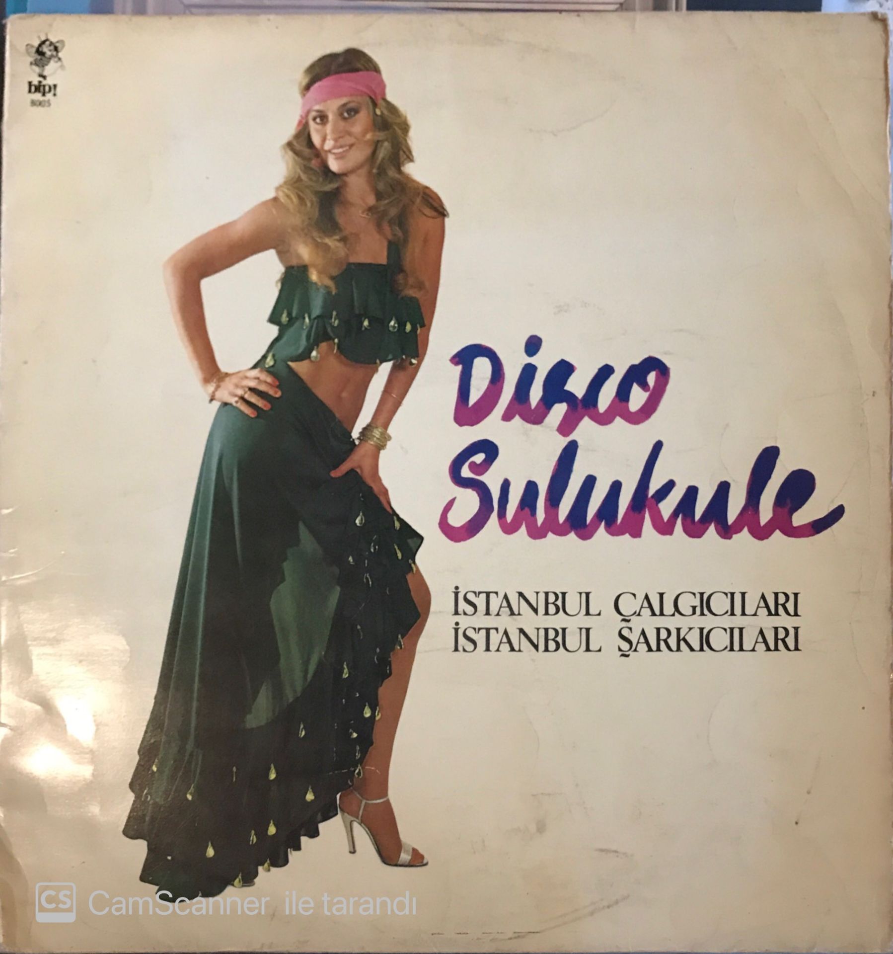 Disco Sulukule İstanbul Çalgıcıları İstanbul Şarkıcıları LP