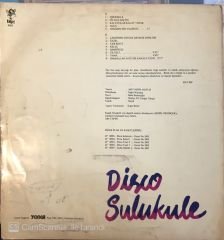 Disco Sulukule İstanbul Çalgıcıları İstanbul Şarkıcıları LP