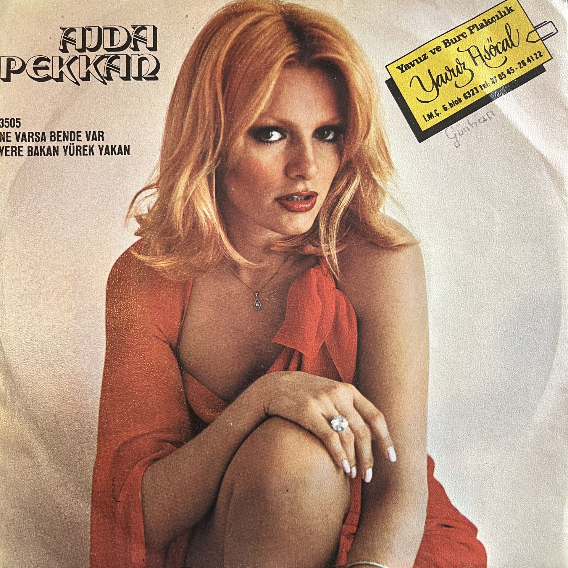 Ajda Pekkan - Ne Varsa Bende Var 45lik