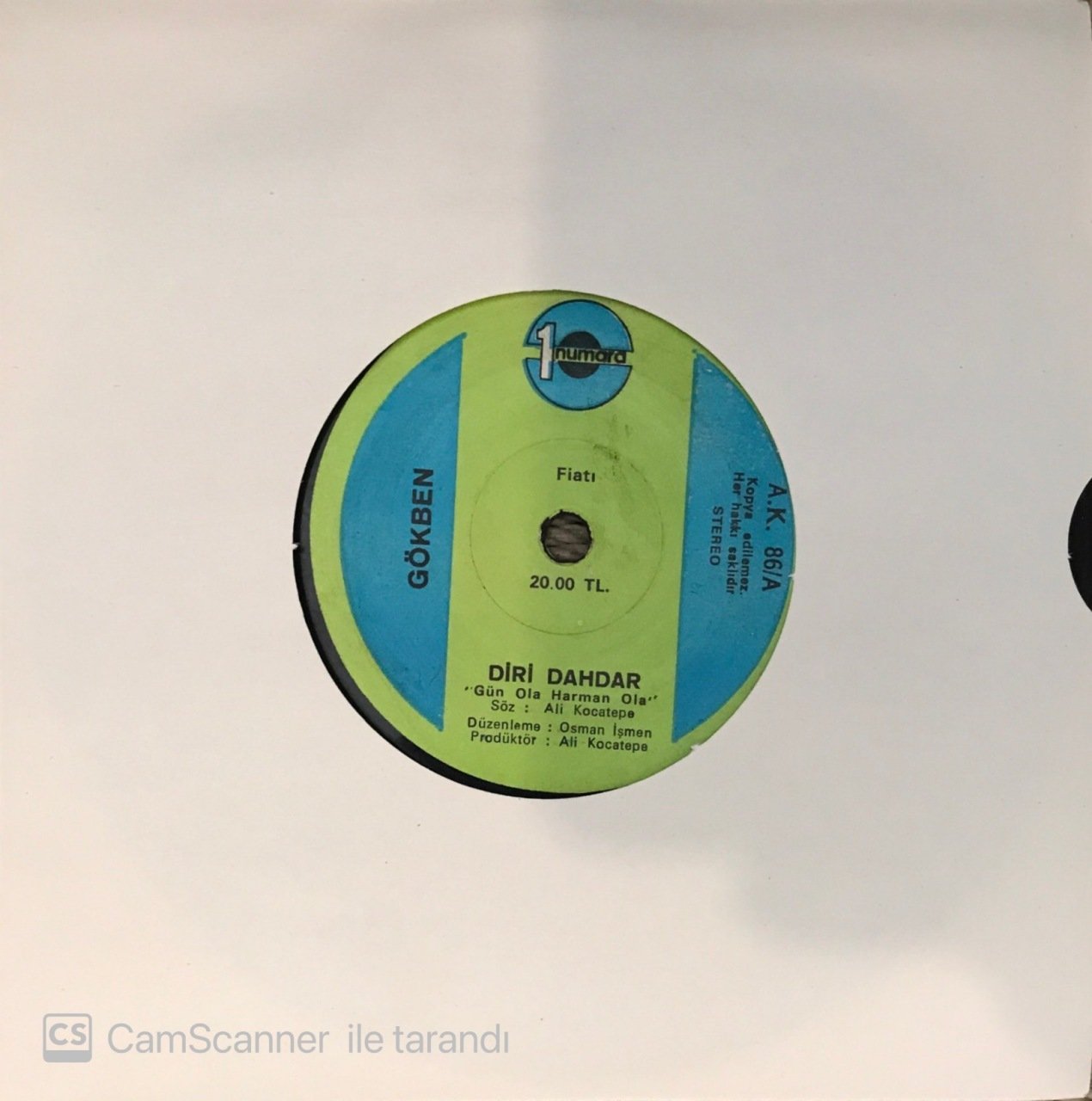Gökben Diri Dahdar 45lik