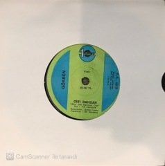 Gökben Diri Dahdar 45lik