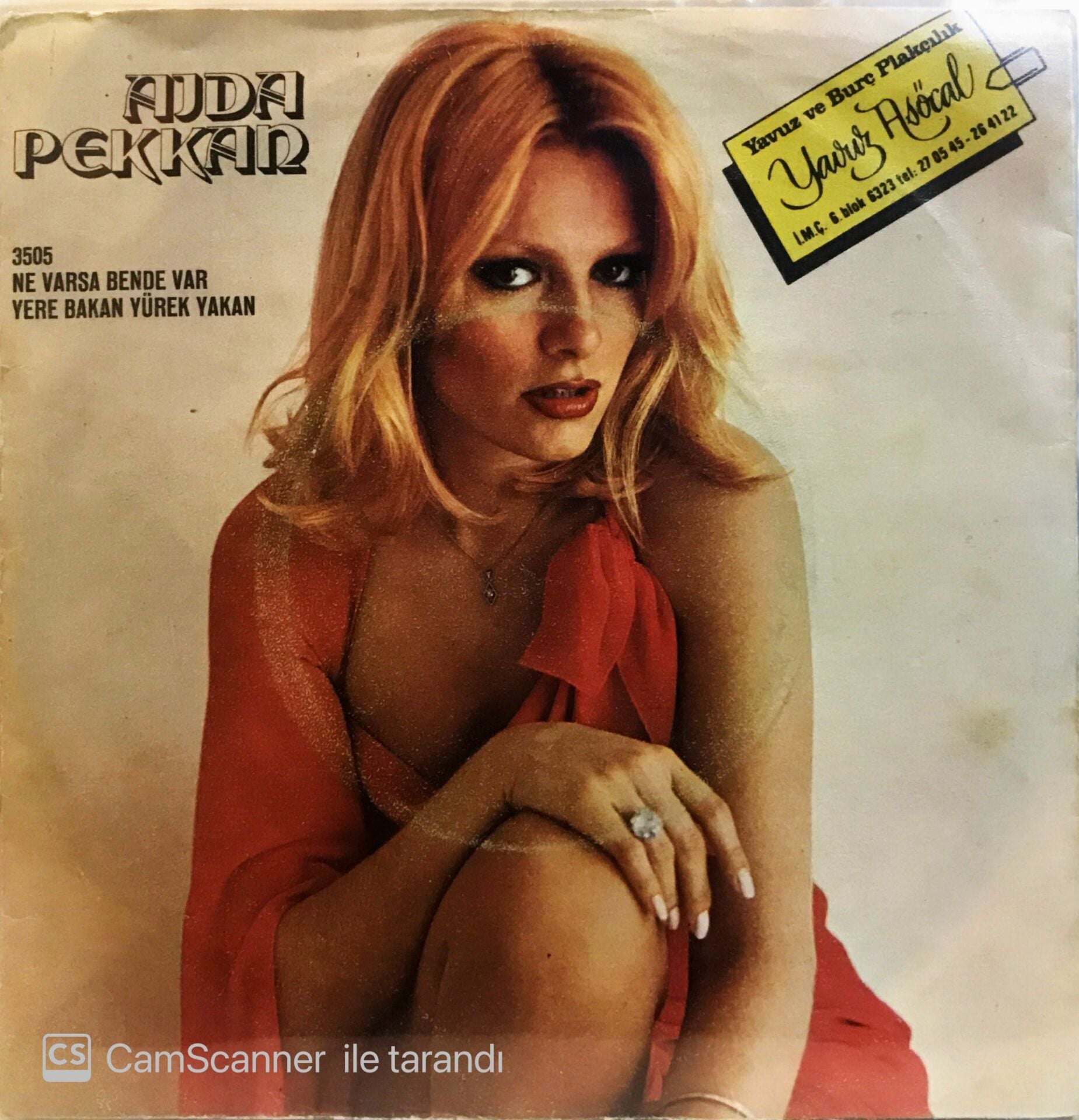 Ajda Pekkan - Ne Varsa Bende Var 45lik